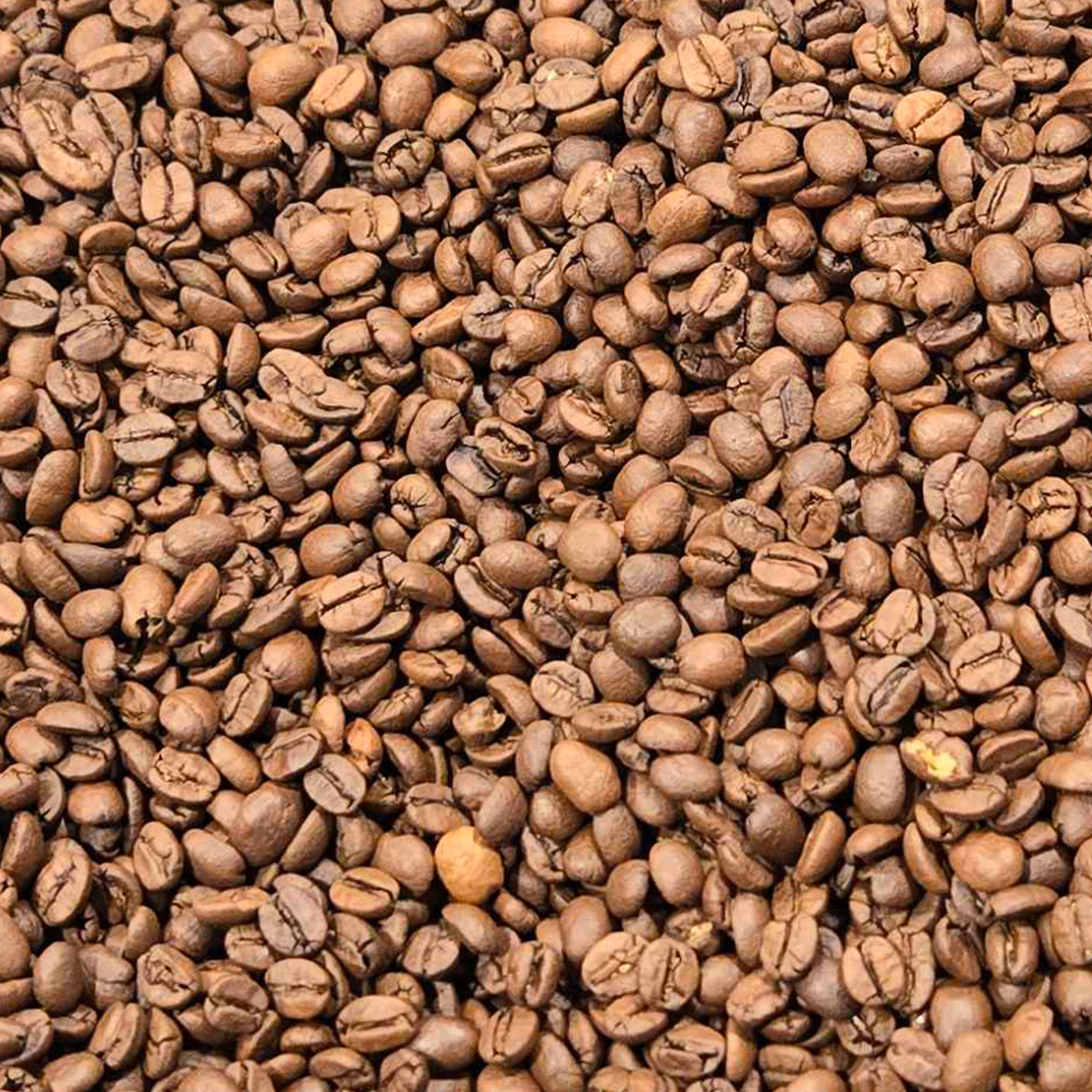 Marc Nixon Medium Roast Coffee